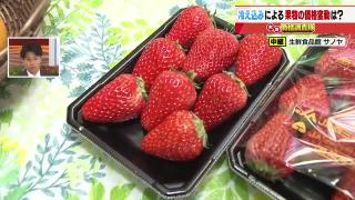 イチゴ「紅ほっぺ」端境期で仕入れ価格が20円アップ ハッサクは出荷